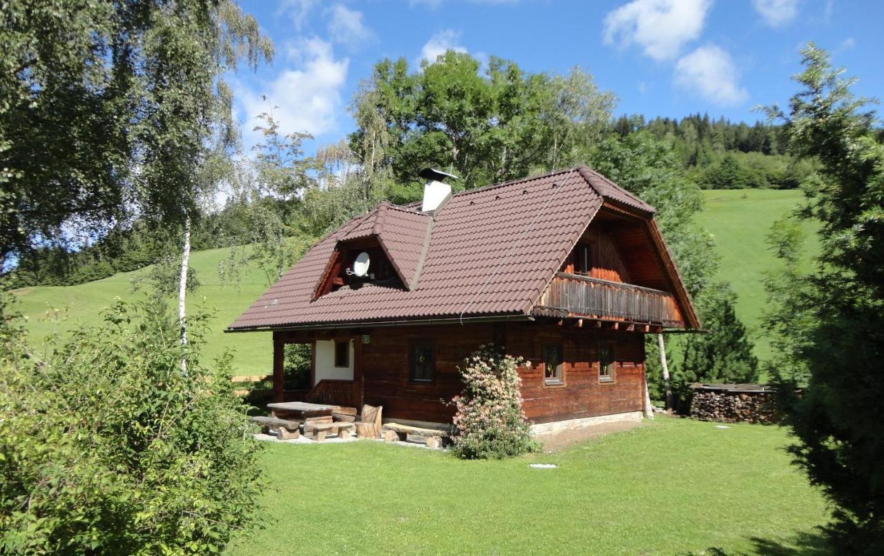 Die Petzl Huette - Kreischbergblick Kaindorf  Esterno foto